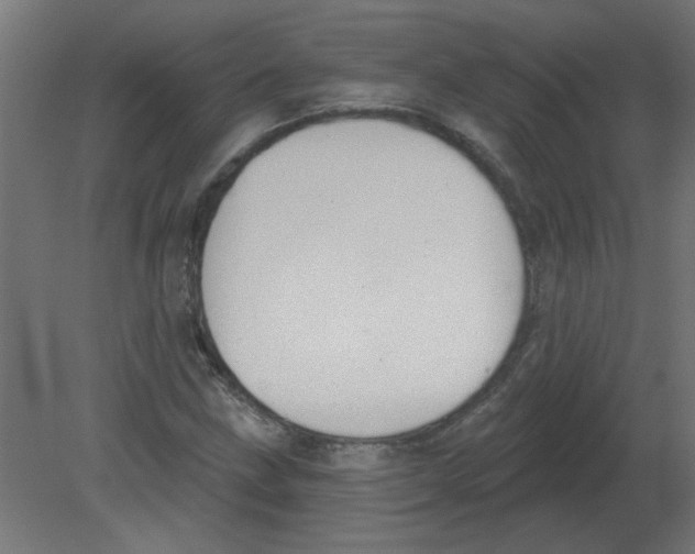X0000080791211200701122139