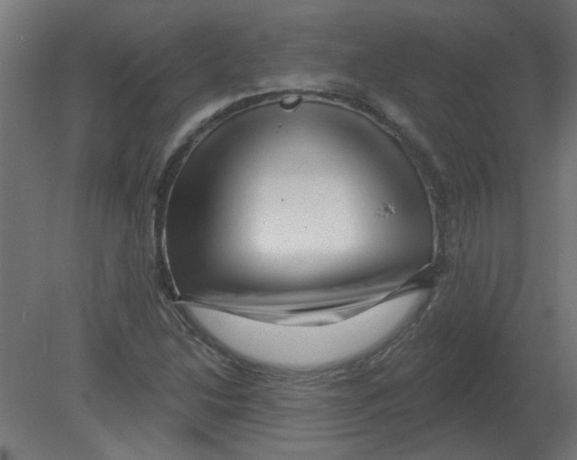X0000080791214200701122139