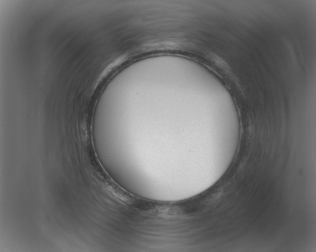 X0000080791218200701122139