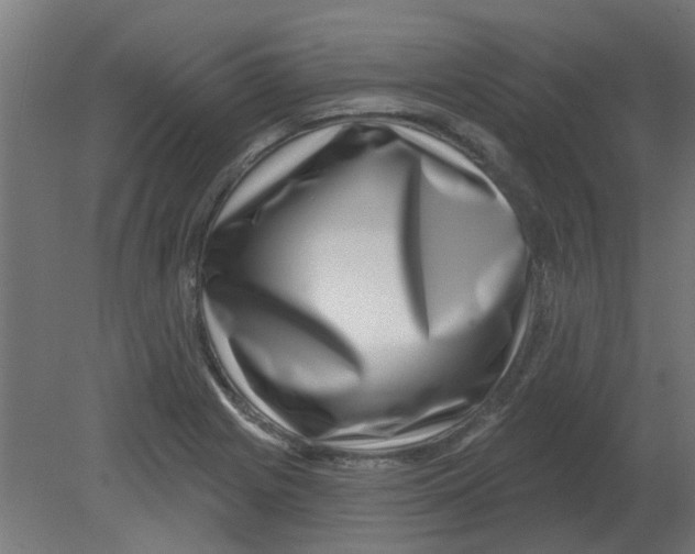 X0000080791225200701122139