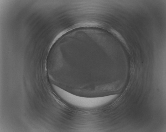 X0000080791226200701122139