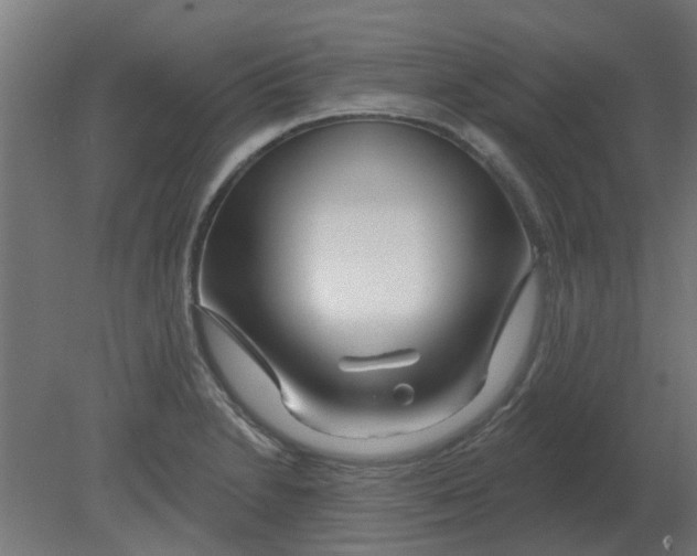 X0000080791230200701122139