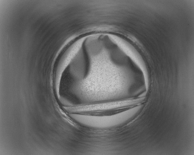 X0000080791232200701122139