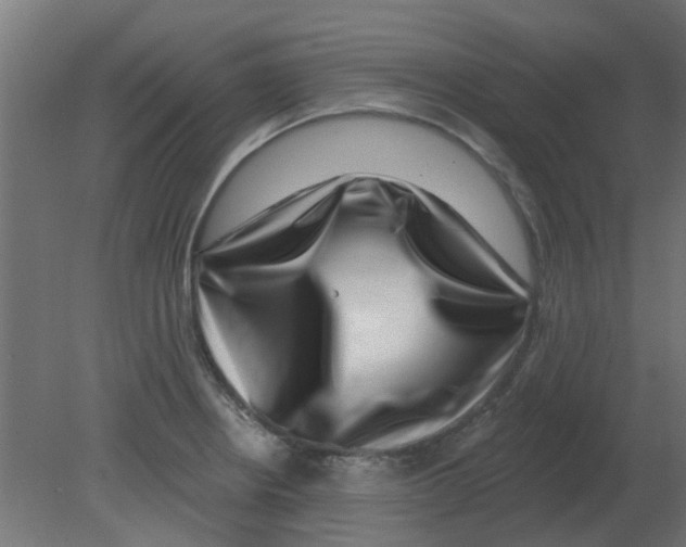 X0000080791234200701122139