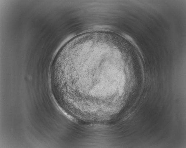 X0000080791235200701122139