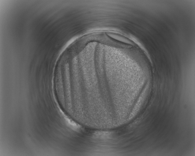 X0000080791237200701122139