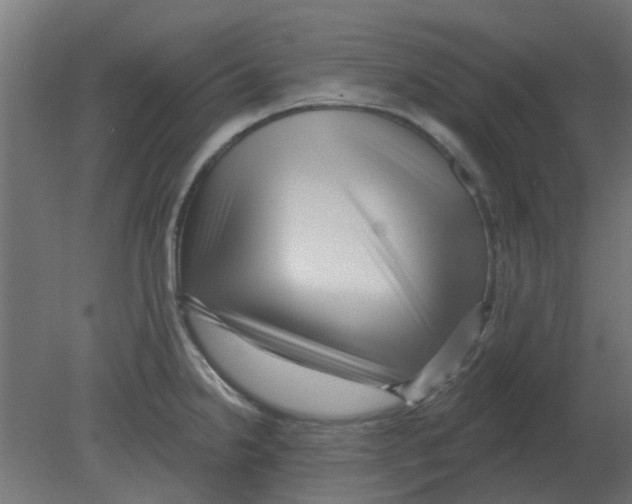 X0000080791238200701122139