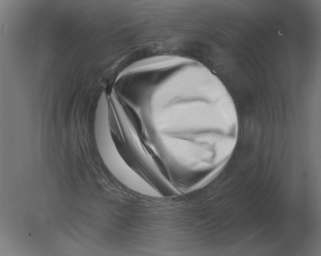 X0000080791250200701122139