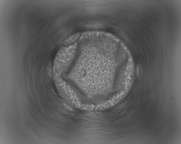 X0000080791251200701122138