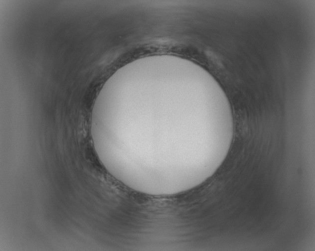 X0000080791253200701122138