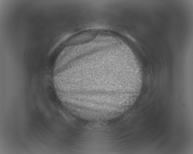 X0000080791255200701122138