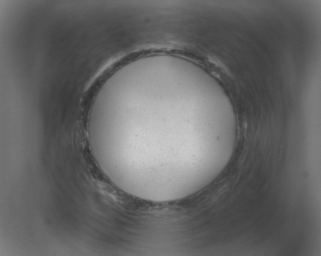 X0000080791256200701122138