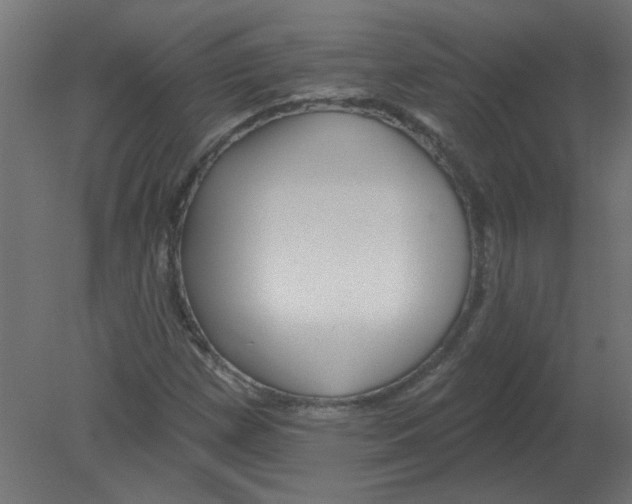 X0000080791257200701122138