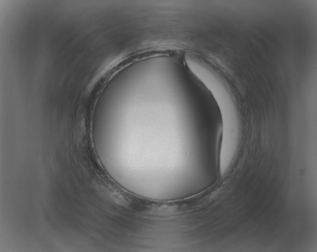 X0000080791261200701122138