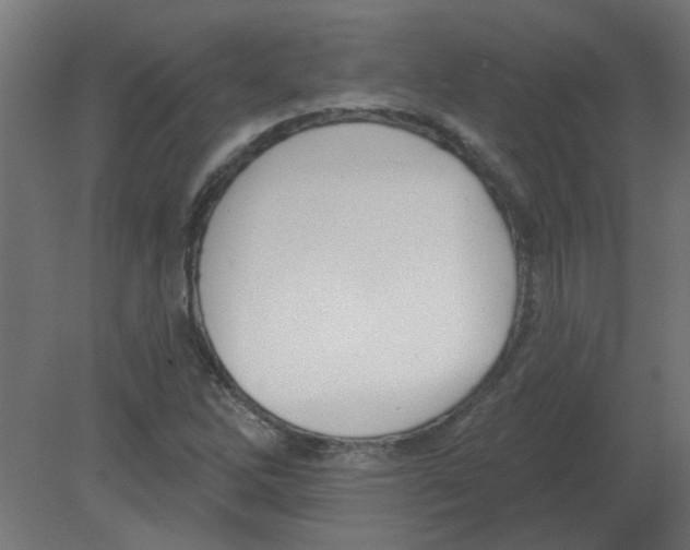 X0000080791262200701122138