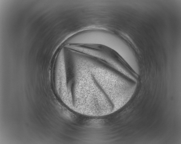 X0000080791268200701122138