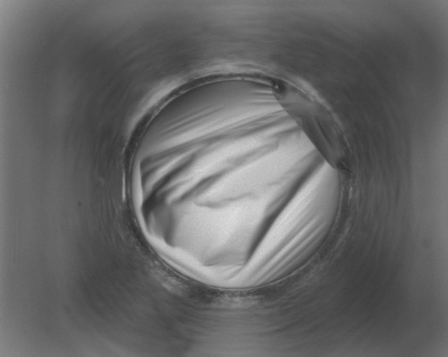 X0000080791269200701122138