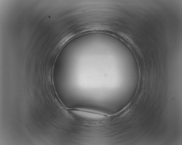 X0000080791273200701122138