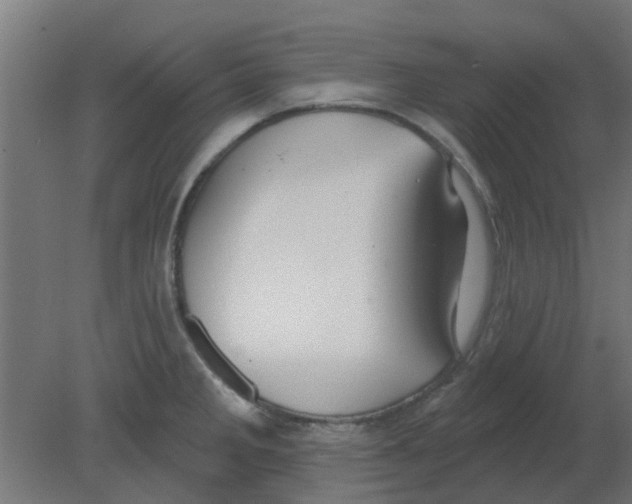 X0000080791285200701122138