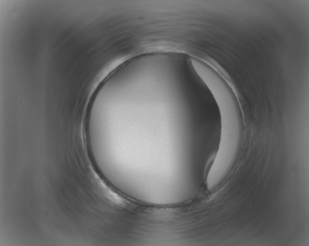 X0000080791293200701122138