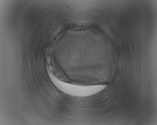 X0000080791298200701122137