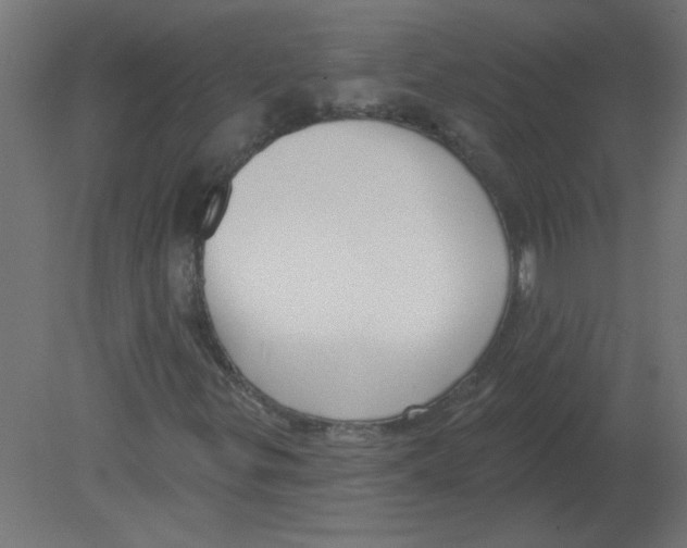 X0000080791299200701122137