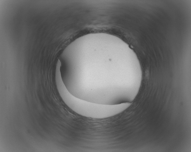 X0000080791300200701122137