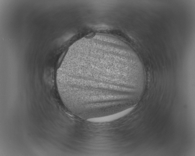 X0000080791301200701122137