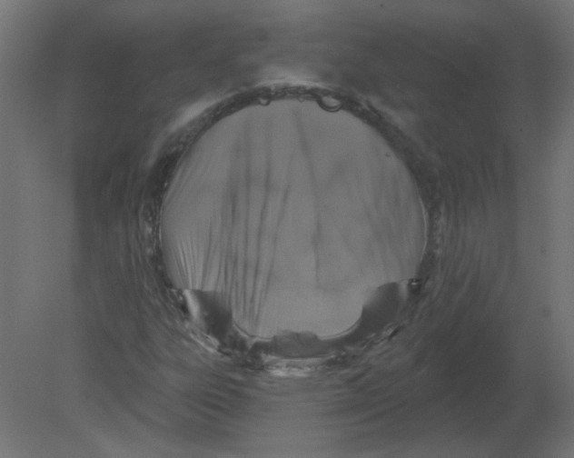 X0000080791303200701122137