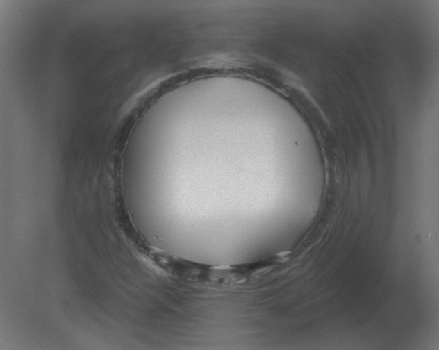 X0000080791304200701122137
