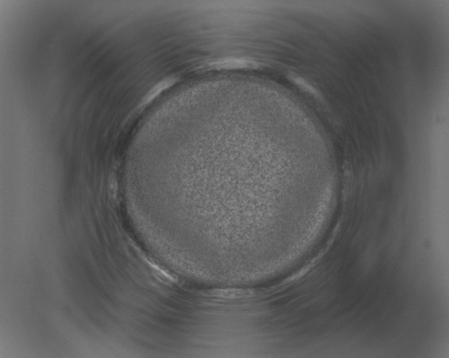 X0000080791305200701122137