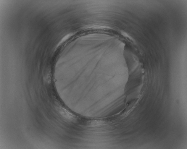 X0000080791306200701122137