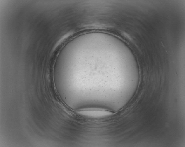 X0000080791307200701122137
