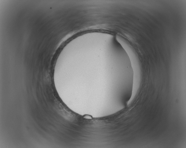 X0000080791308200701122137