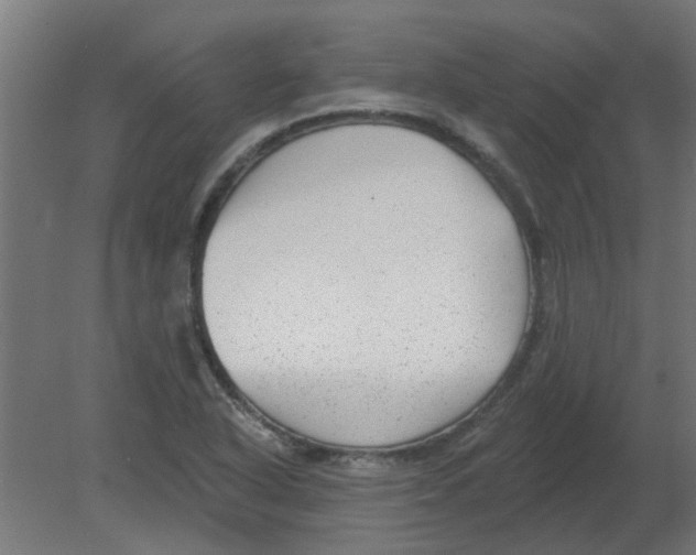 X0000080791318200701122137