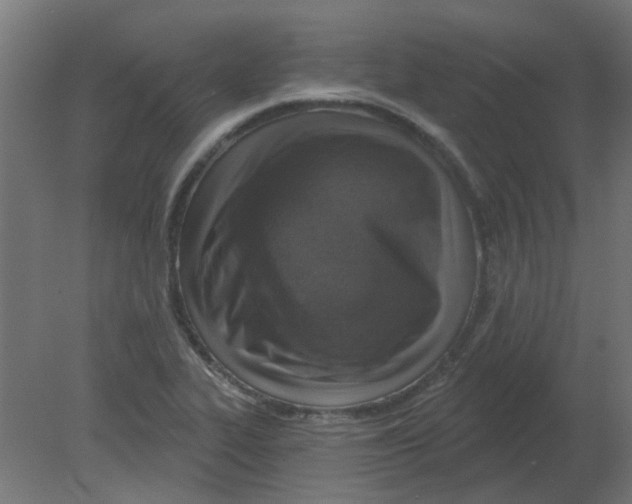 X0000080791319200701122137