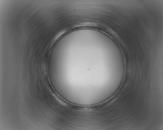 X0000080791321200701122137