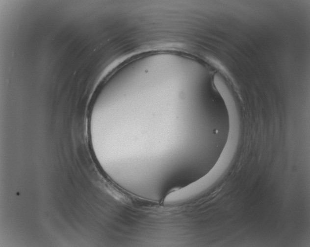 X0000080791324200701122137