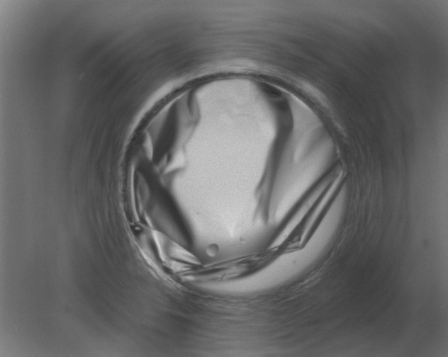 X0000080791326200701122137