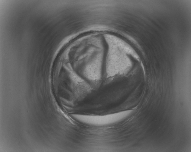X0000080791327200701122137