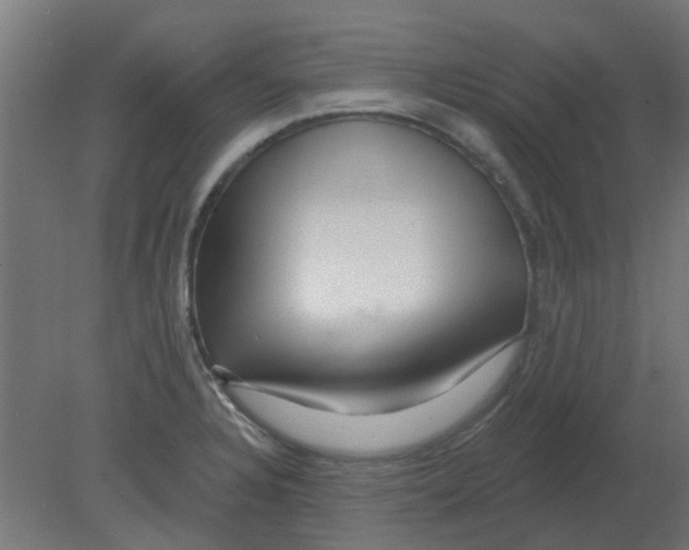 X0000080791328200701122137