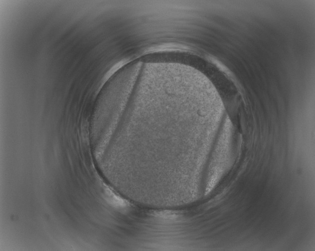 X0000080791329200701122137