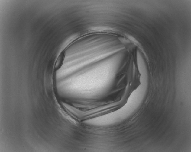 X0000080791330200701122137