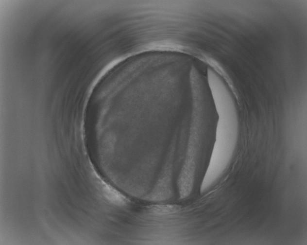 X0000080791331200701122138