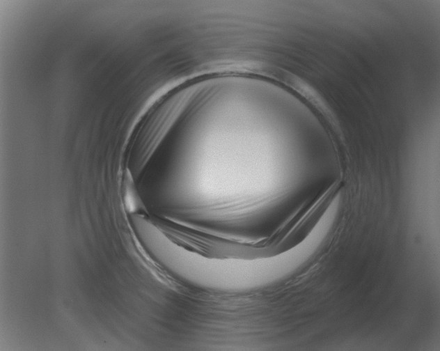 X0000080791332200701122138