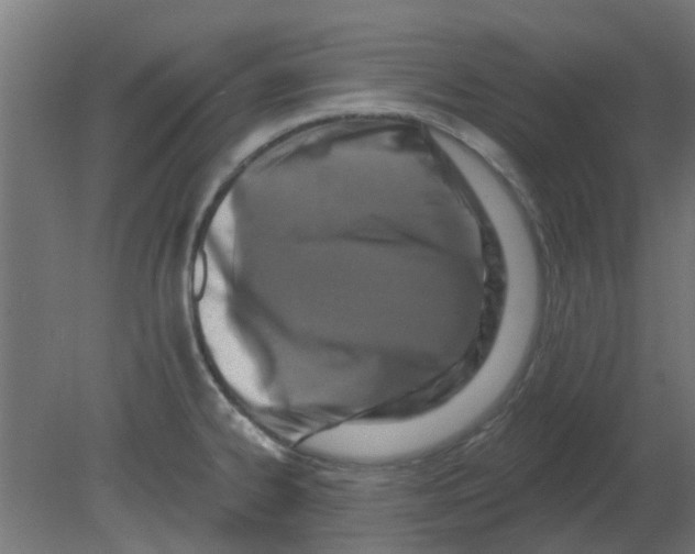 X0000080791334200701122138