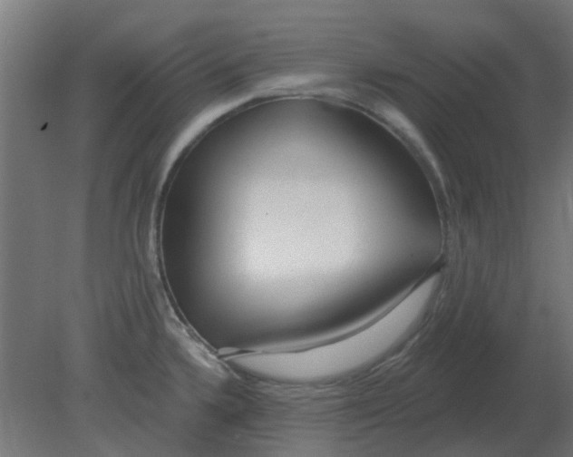 X0000080791336200701122138