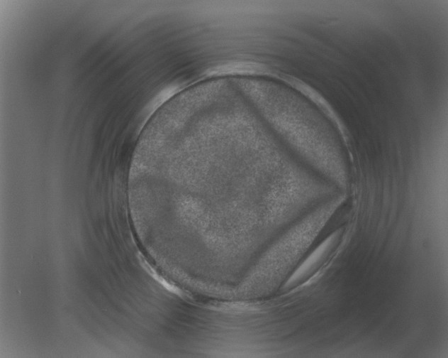X0000080791337200701122138