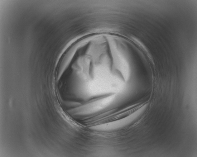 X0000080791340200701122138