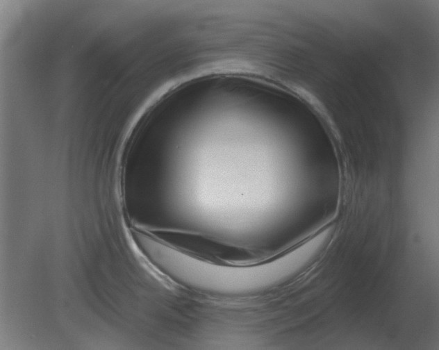 X0000080791342200701122138